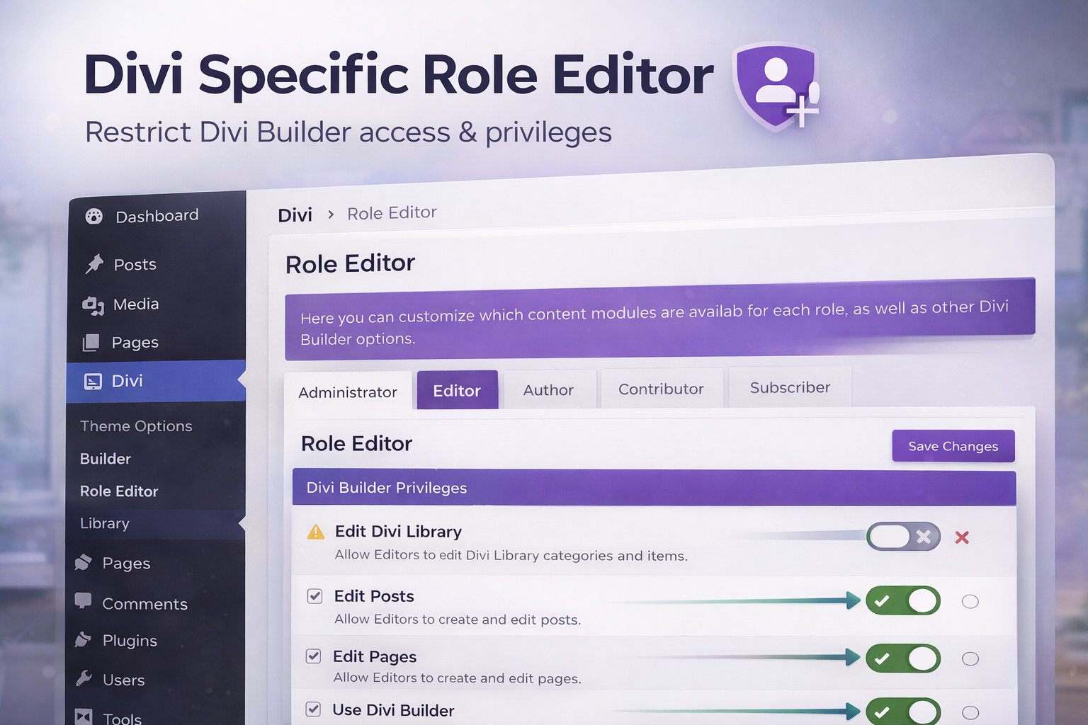Divi Specific Role Editor